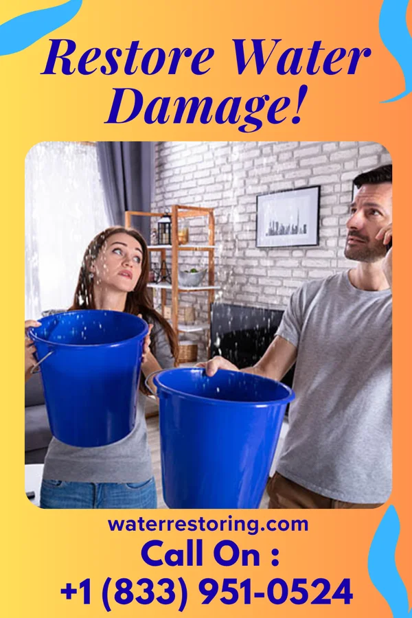 water restoration Ironclad Water Works Professionals University of Virginia