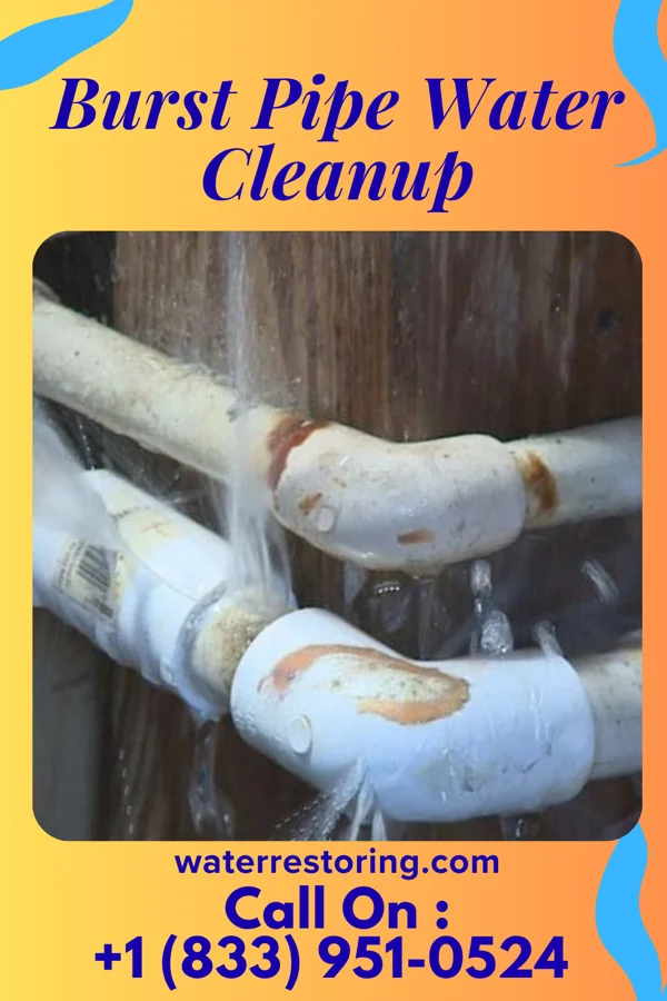 Burst Pipe Water Cleanup in University of Virginia, VA