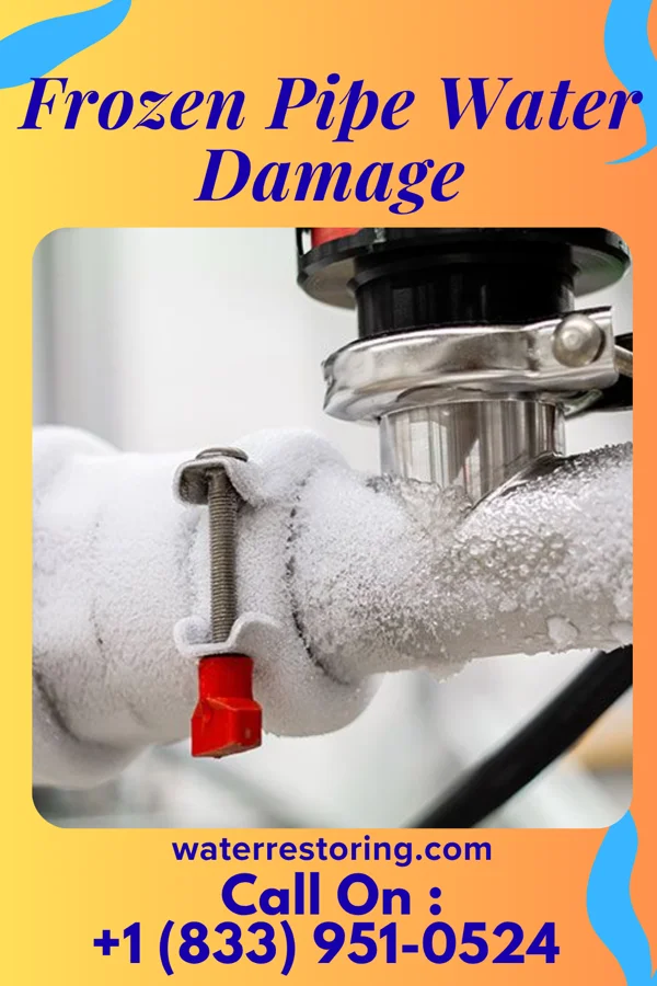 Frozen Pipe Water Damage in University of Virginia, VA