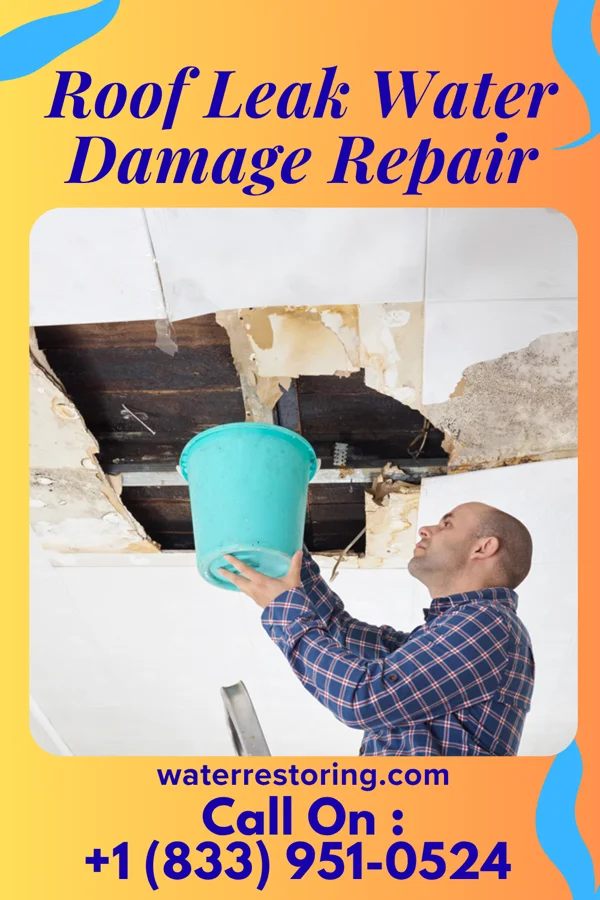 Roof Leak Water Damage Repair in University of Virginia, VA